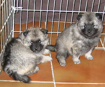 Bonny & Donatus